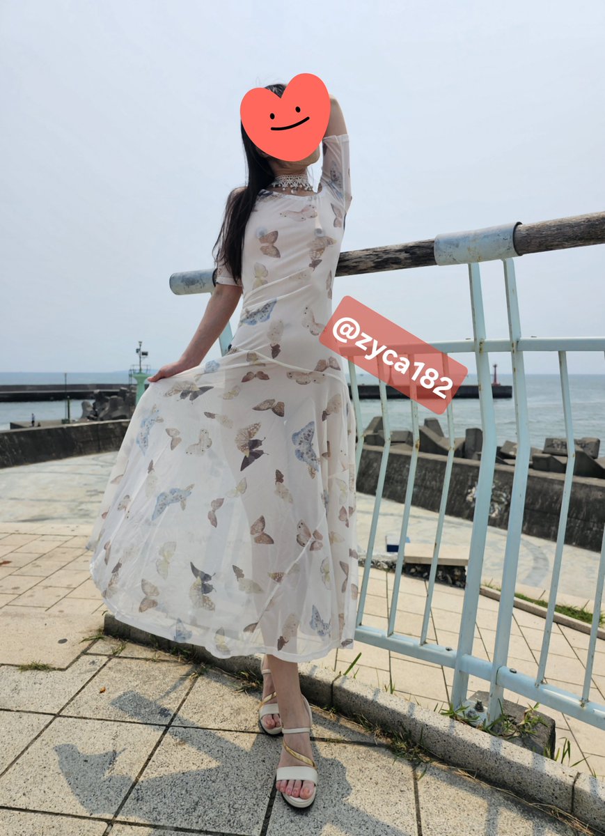 台南～阿壯與含羞太太 tweet media