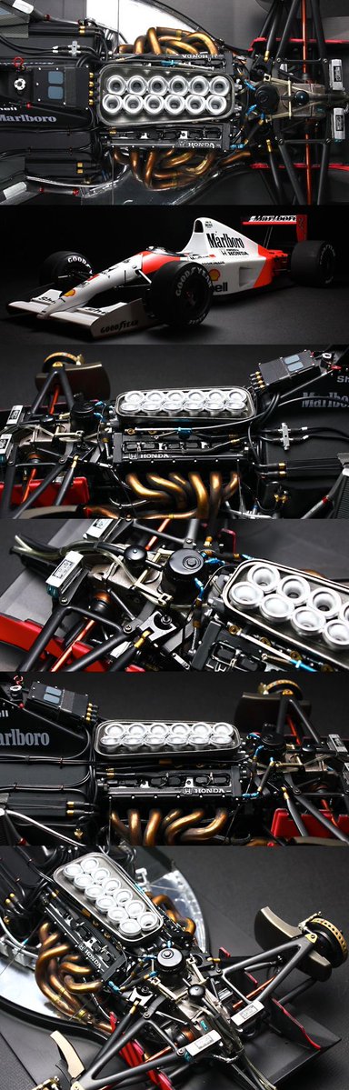 TintedWall31481's tweet image. 