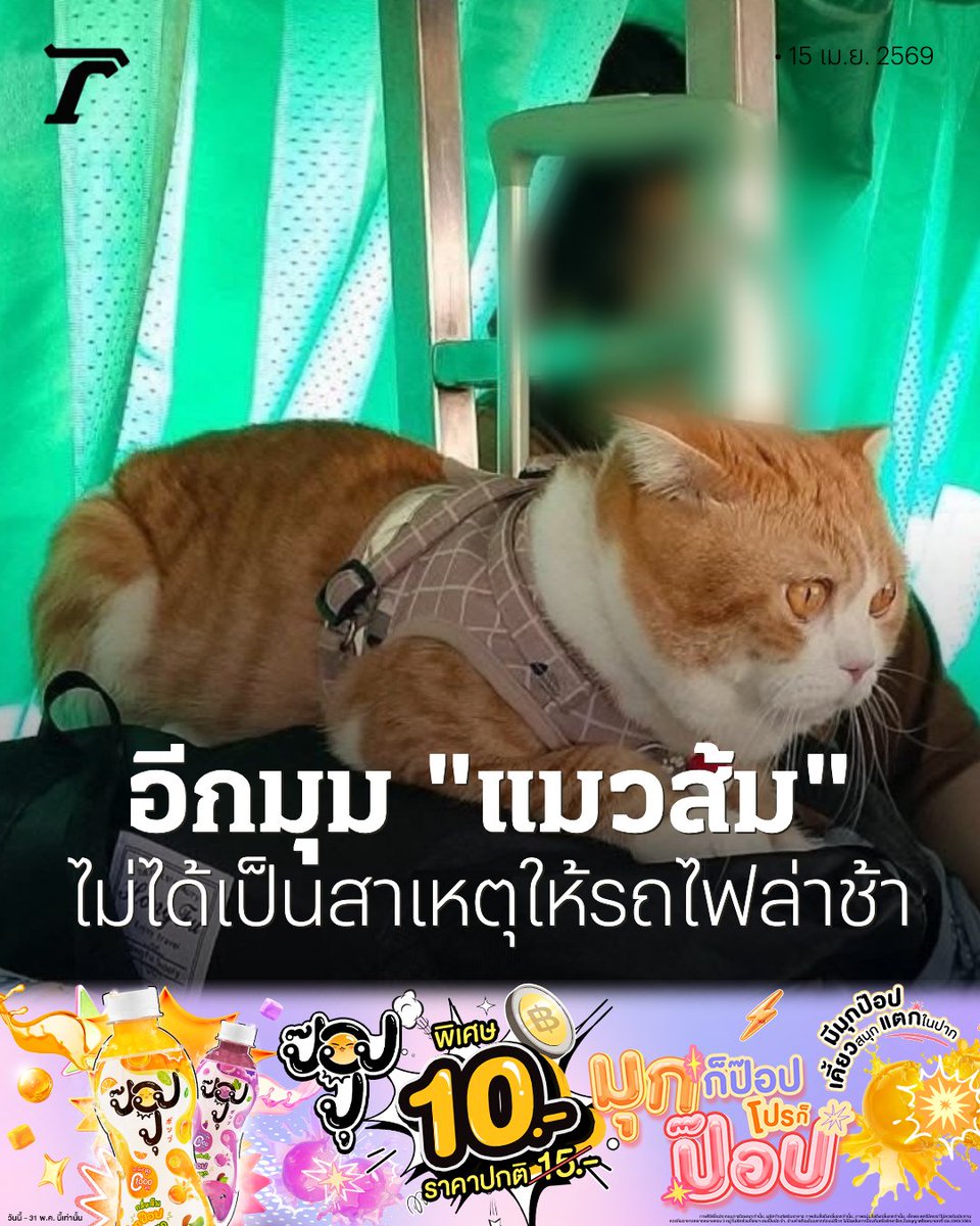 Thairath_News tweet media