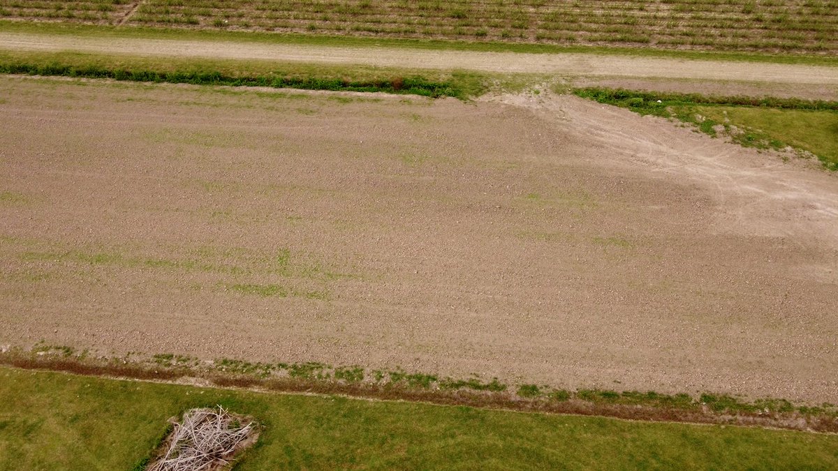thefarmingiq's tweet photo. Louisiana farmers are facing a perfect storm — extreme weather, rising input costs, labour gaps, and slow commodity prices. Relief is on the horizon, but the pressure is real.  

👉https://t.co/mNCEGhmKU7  

#LouisianaAgriculture #FarmBill #farmingIQ #FarmersFirst #RuralAmerica https://t.co/NIposi4gna
