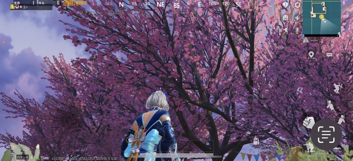 blue_towat's tweet photo. パプジー何年振りに復帰してカメラ忘れたからこのまま🌸
#PUBGモバイル 
#お花見 
#桜 https://t.co/KicT1K56es