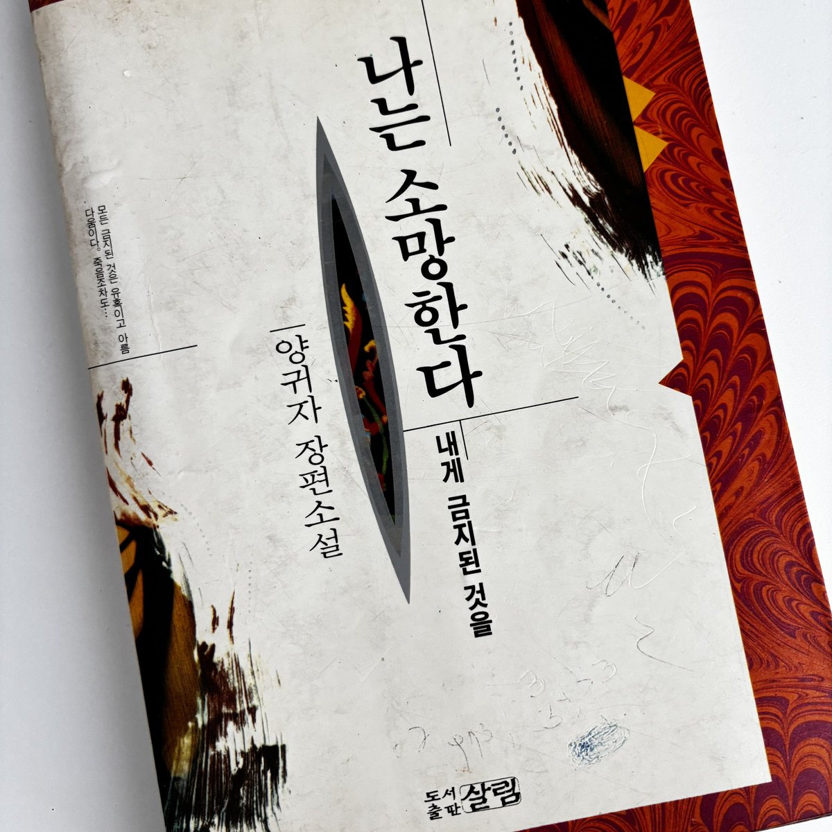 신유이 tweet media