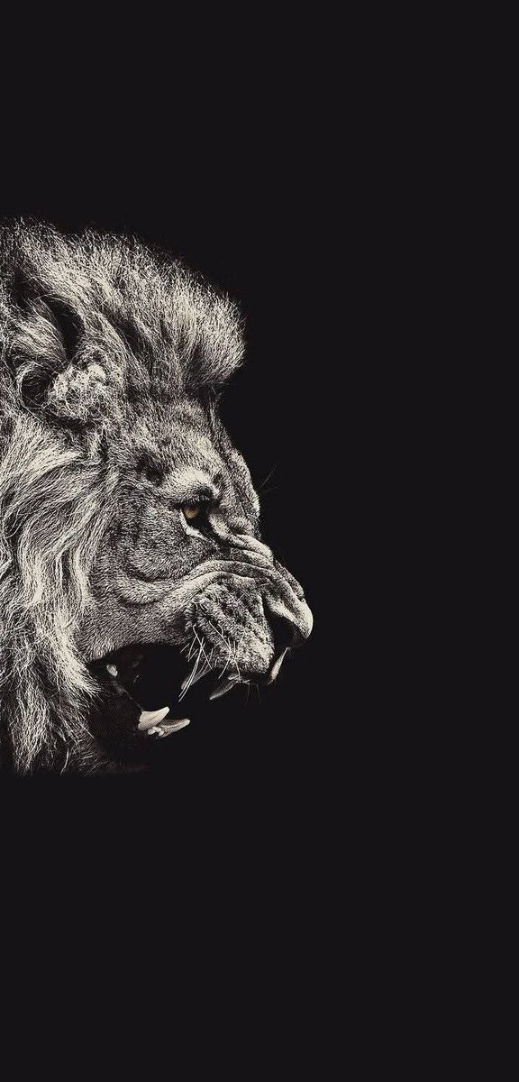 temoo (@temoo_77) on Twitter photo 