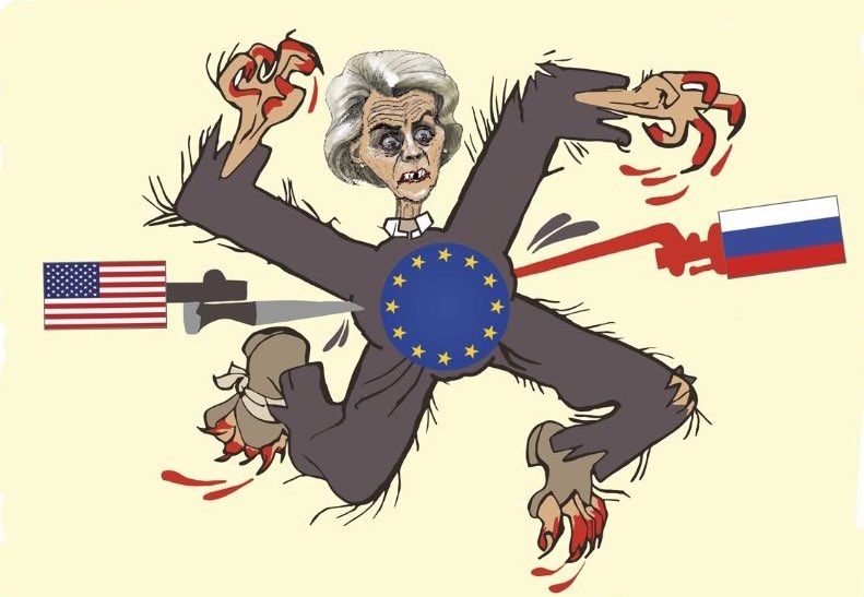 Intoleranter💙 tweet media