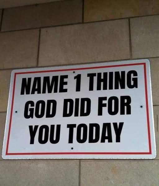 Lily Rosewood tweet media