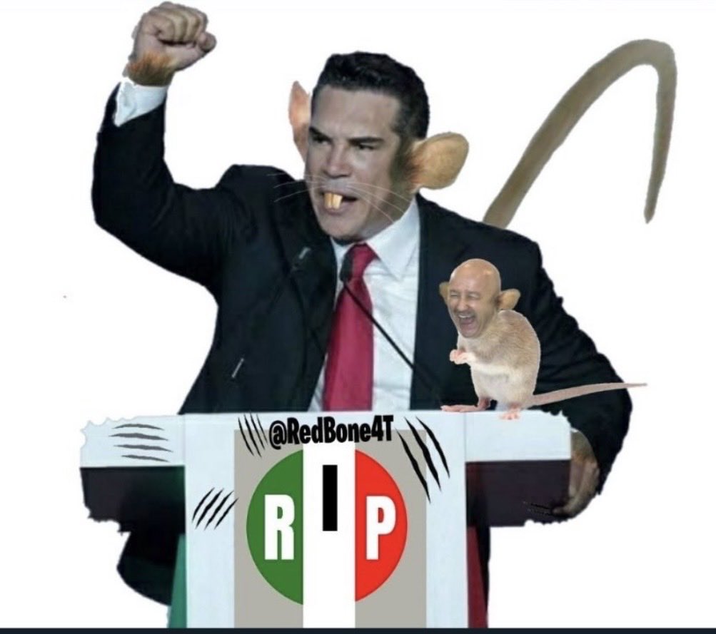 Gustavo R tweet media