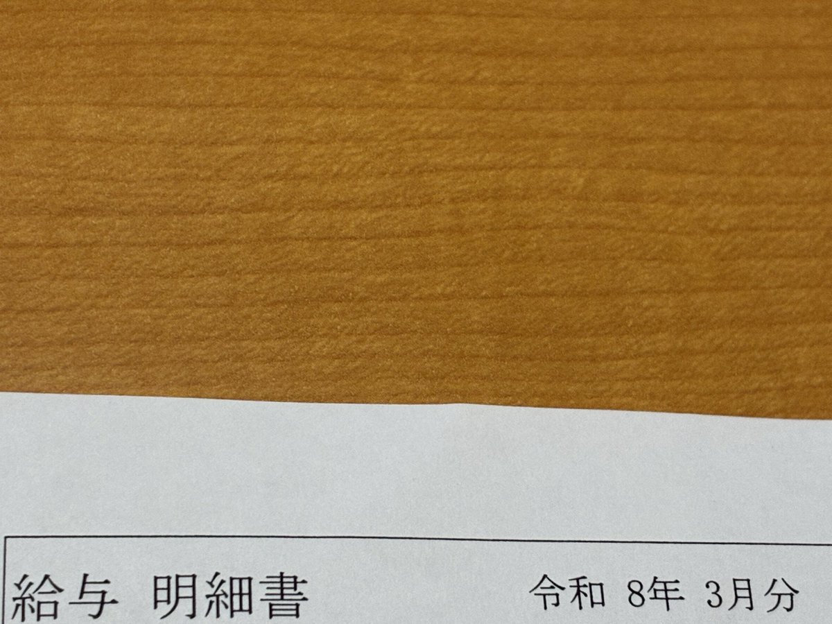 柴犬ちゃちゃ tweet media