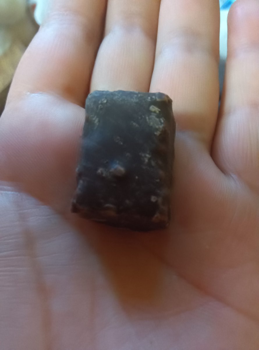 二代目狛犬かつお（ドグモ） tweet media