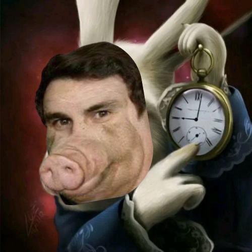 Boarcto tweet media