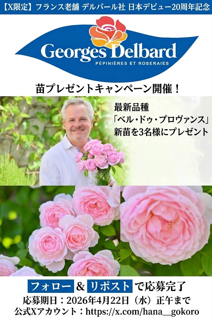 花ごころ通信【公式】 tweet media