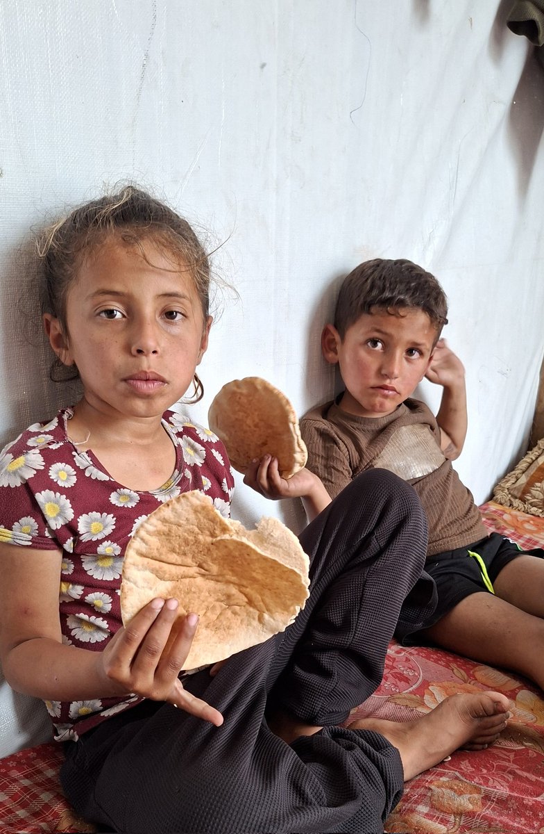 Youssef Saeeid🫀🇵🇸 tweet media