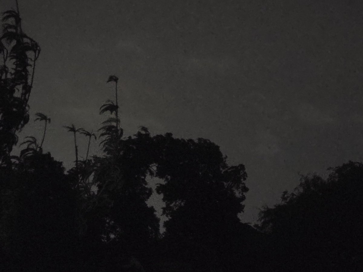 Perry Kakara tweet media