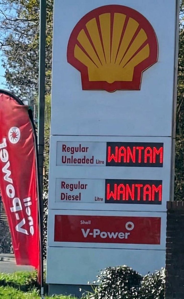 Miss Teddy 🌸❤️ tweet media