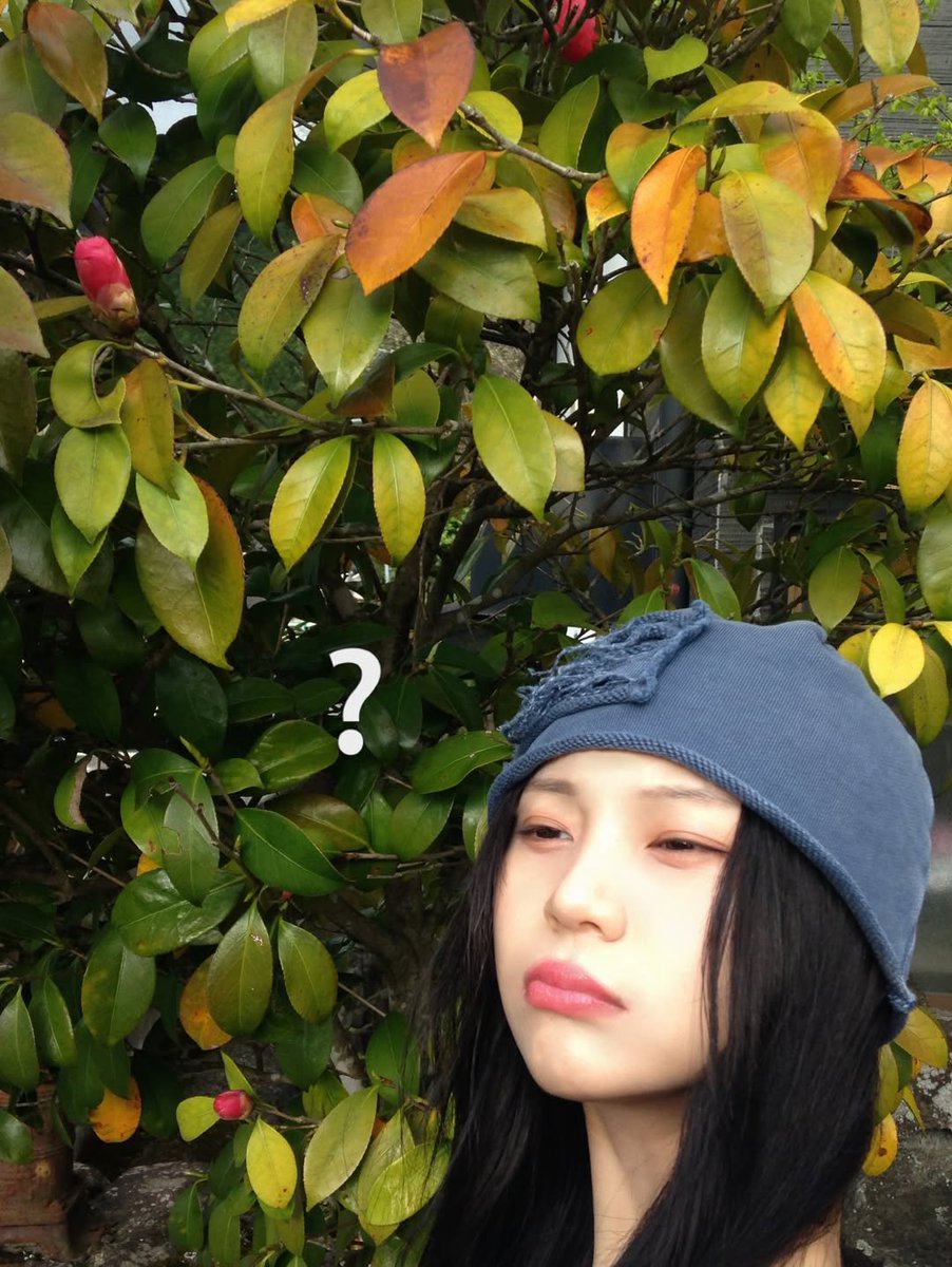 𝗎𝗆𝗃𝗂 tweet media