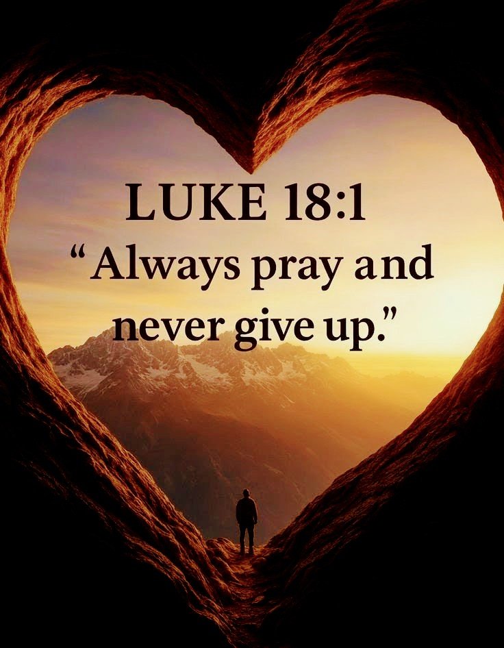 Sword⚔️&Torch🔦of God🤺🛡️📖🩺🏥 tweet media