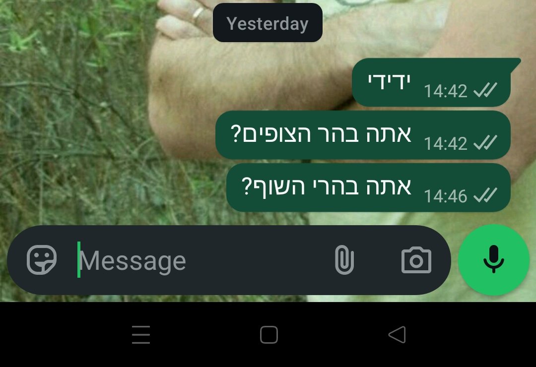 אורי מרום tweet media