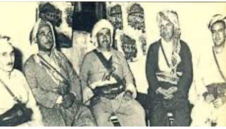 مجتهد كوردستان✹ tweet media