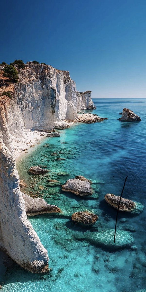 Pure Nature tweet media