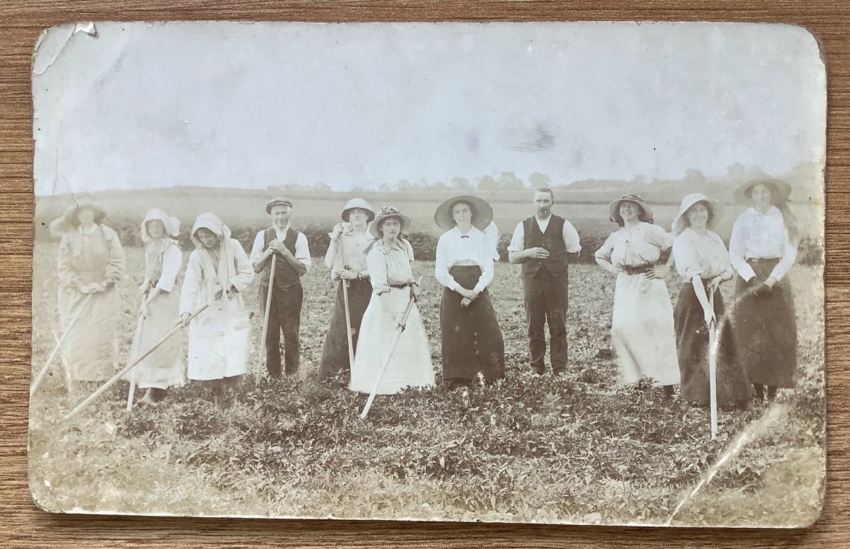 PaulSuttonKing's tweet image. What are you up to today? Maybe out in the fields or digging out a cutting. #WorkWednesday #postcard