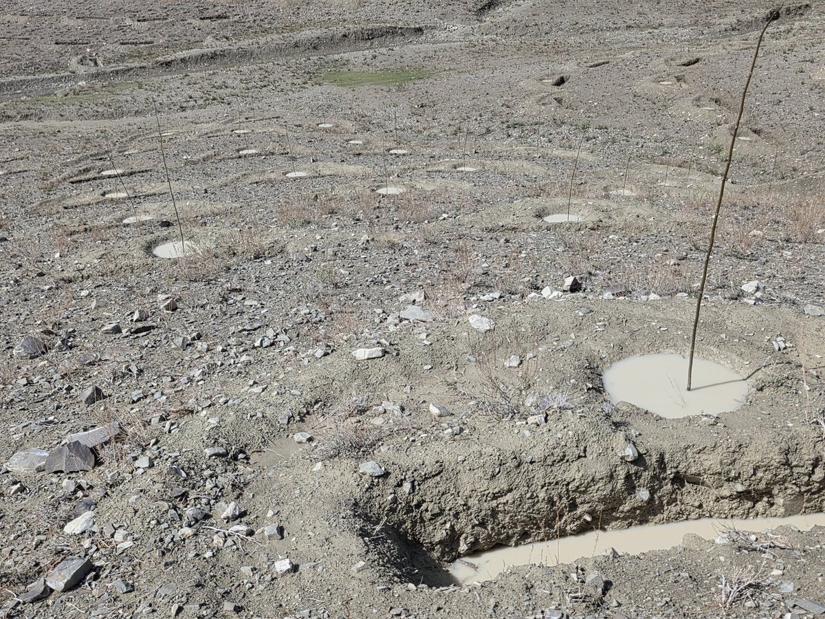 ManafSaqeb's tweet image. Big #achievement / #Climate_change_adapted 
It is well understood that Afghanistan is among the countries most severely affected by the impacts of climate change, experiencing substantial damage each year. Drought and flooding remain two of the primary challenges,