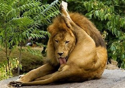 RicardRogerCat's tweet photo. @elmonarac1 Quina turra ens espera https://t.co/KjiqJlkrJr