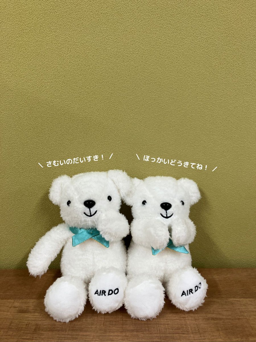 【公式】AIRDO（エア・ドゥ）｜北海道の翼 tweet media