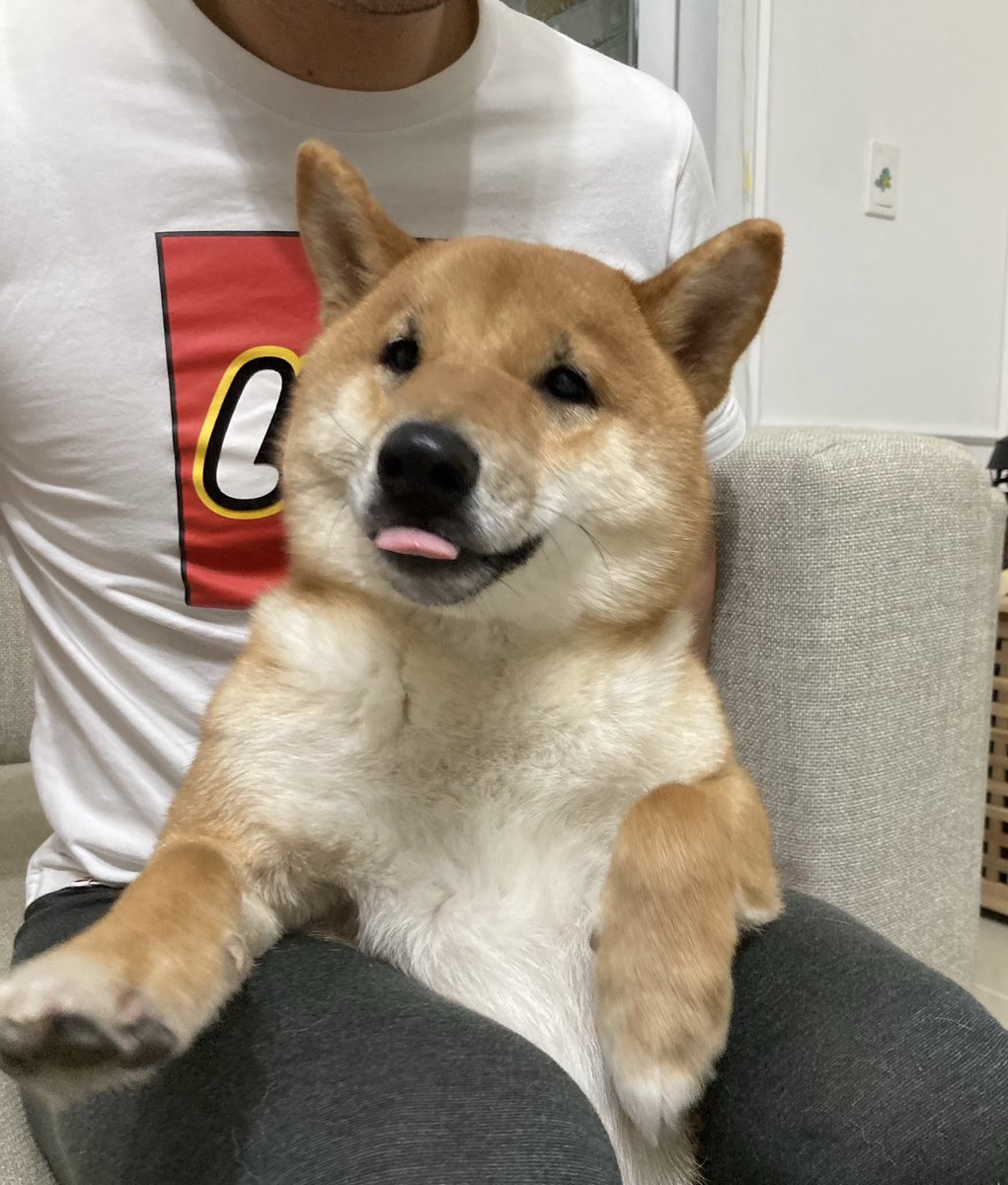 존버칸쵸 tweet media