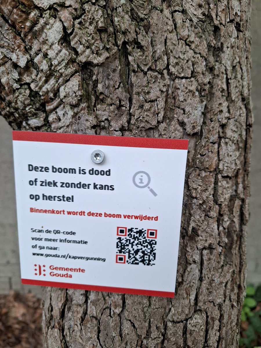 Maarten Molenaar tweet media