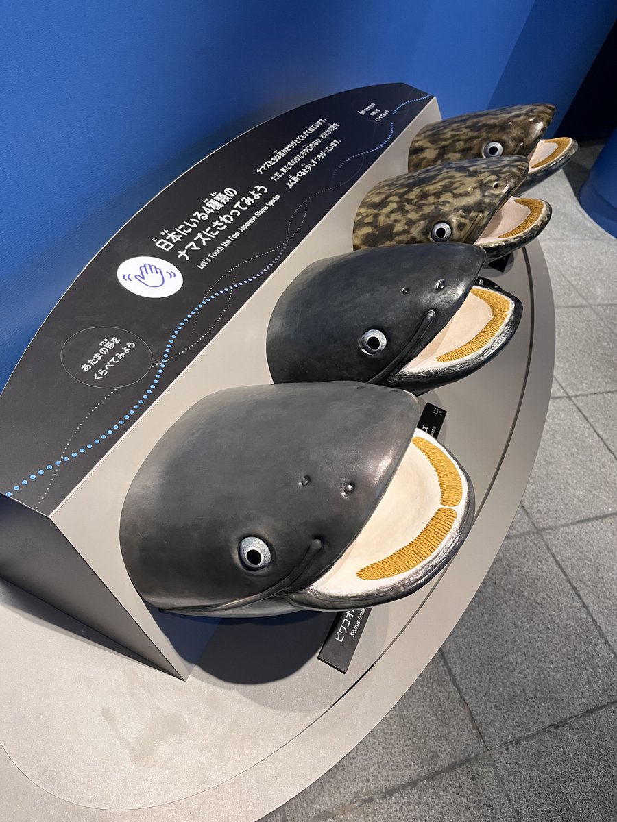 川鮫工房｜人と水辺を繋ぐ生き物作家/いきものづくし2026 tweet media