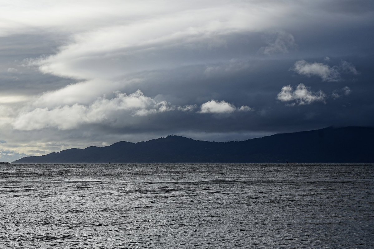 SkykidLan's tweet image. 第一只是 Northern Flicker，扑木鸟，一种啄木鸟。
第二只是 Horned Grebe，角潜鸟，繁殖期头顶有很明显的橙色羽毛。
一边查一边确认一边赞叹多漂亮。

真的觉得，这个世界太美了，不是刻意的那种，是很普通的～一只鸟、一片海、一棵树……🙏🏽
#Vancouver