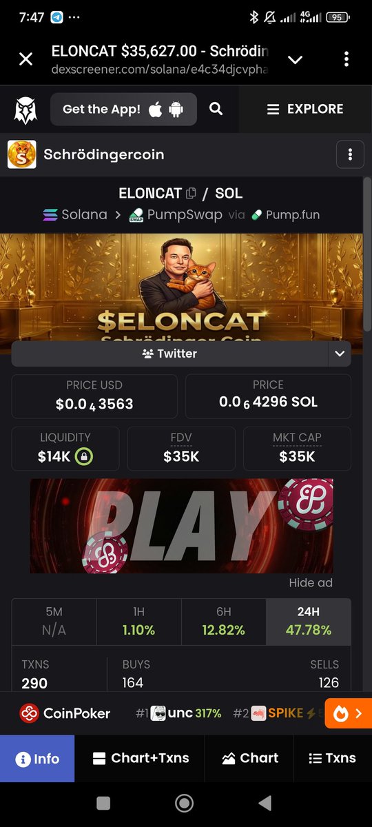 The lore on this is actually insane. We’ve seen what happens when the Musk effect hits a dog, but $ELONCAT is hitting a different nerve.

This isn't just another derivative; it’s the only cat <a href="/elonmusk/">Elon Musk</a> ever adopted that went missing. Even Maye Musk has weighed in.

Think about