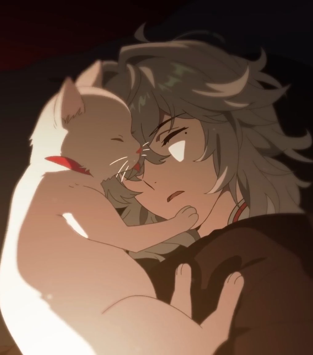 Jing Yuan’s Pet Cat tweet media