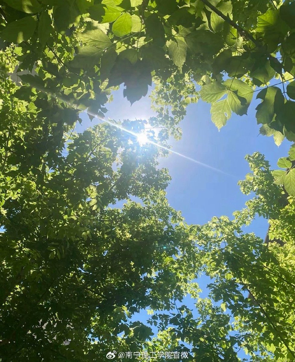 joebrook tweet media