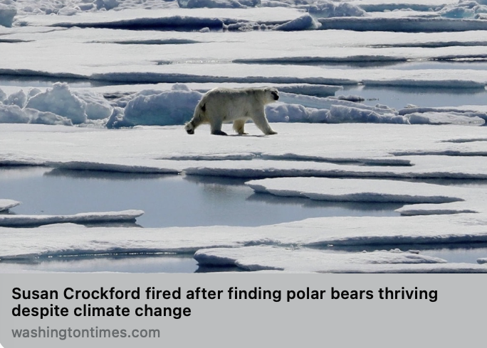 SILVANO TROTTA OFFICIEL tweet media