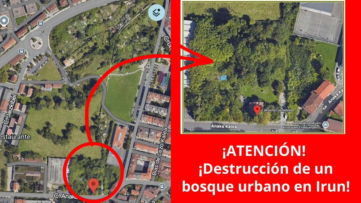 artiakolagunak's tweet photo. 📢@Irun_informa ha destruido el pequeño bosque urbano junto a @lakaxita para construir una “zona ajardinada”‼️
Es una ejecución costosa e #Insostenible del #PlanUrbanístico #SanMiguelAnaka en #Irun que ha eliminado un espacio verde de dos hectáreas con #Árboles, refugio de #Aves. https://t.co/PHL3kCG3ob