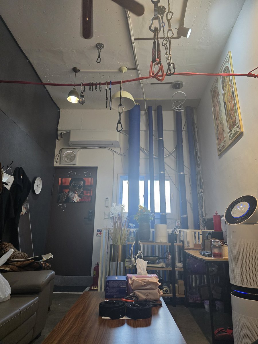 독군주 tweet media