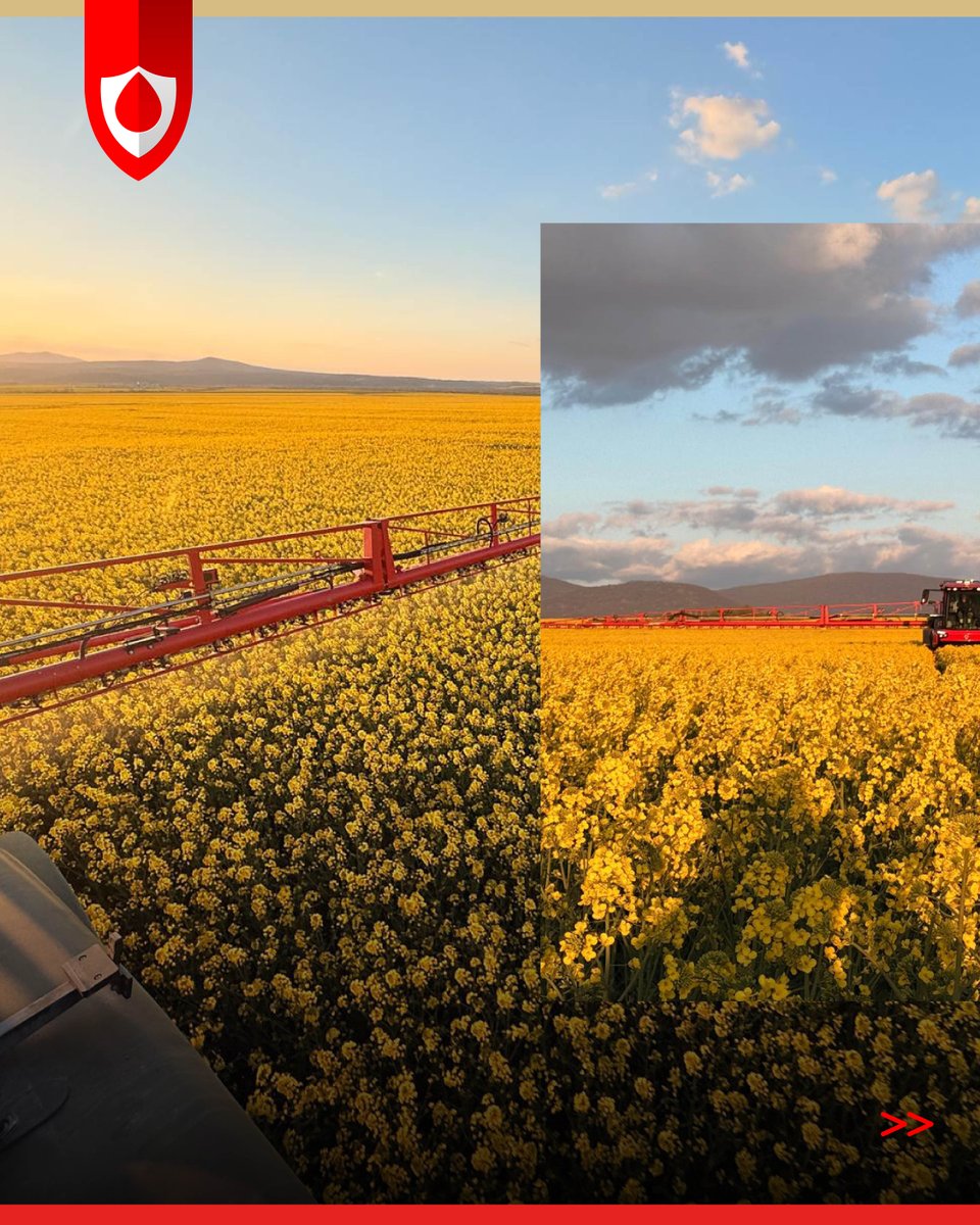 Agrifac Machinery BV tweet media