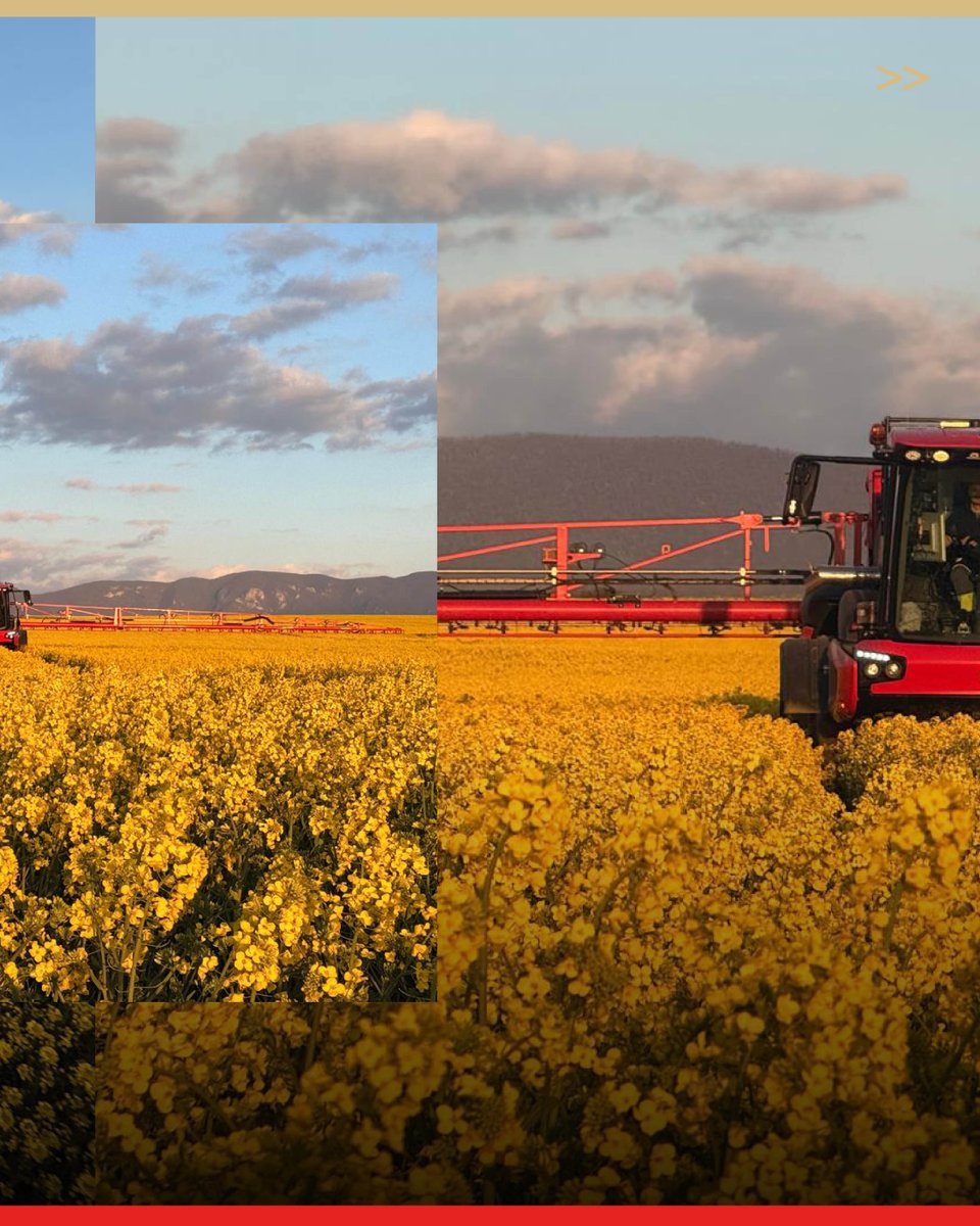 Agrifac Machinery BV tweet media