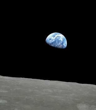 Environment and Climate Politics Working Group tweet media