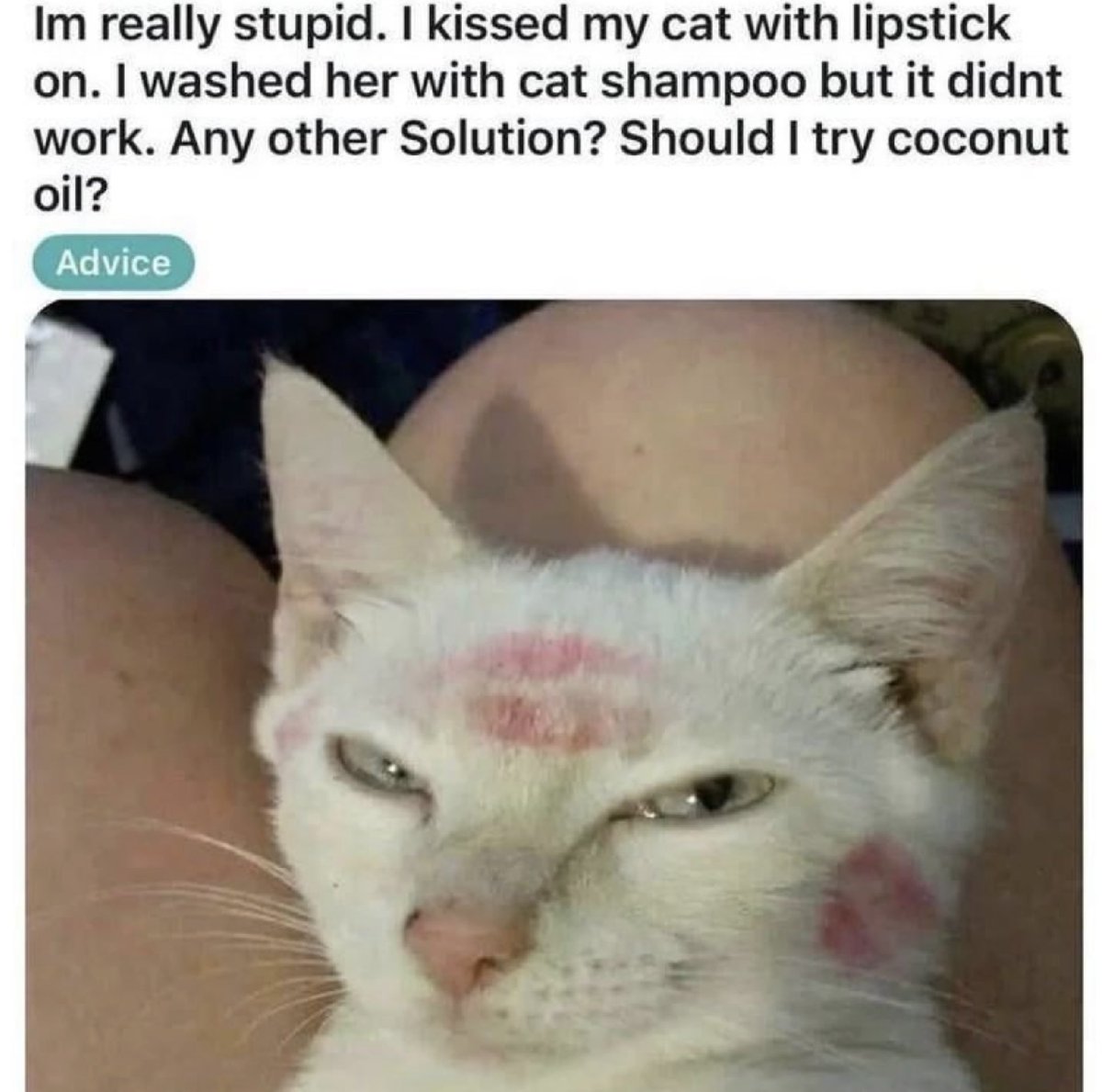 🍏 MARS 🍎 tweet media