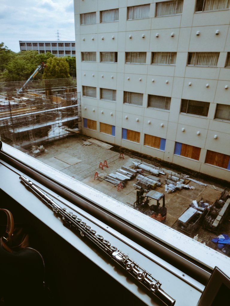 丸田悠太 / Yuta Maruta tweet media