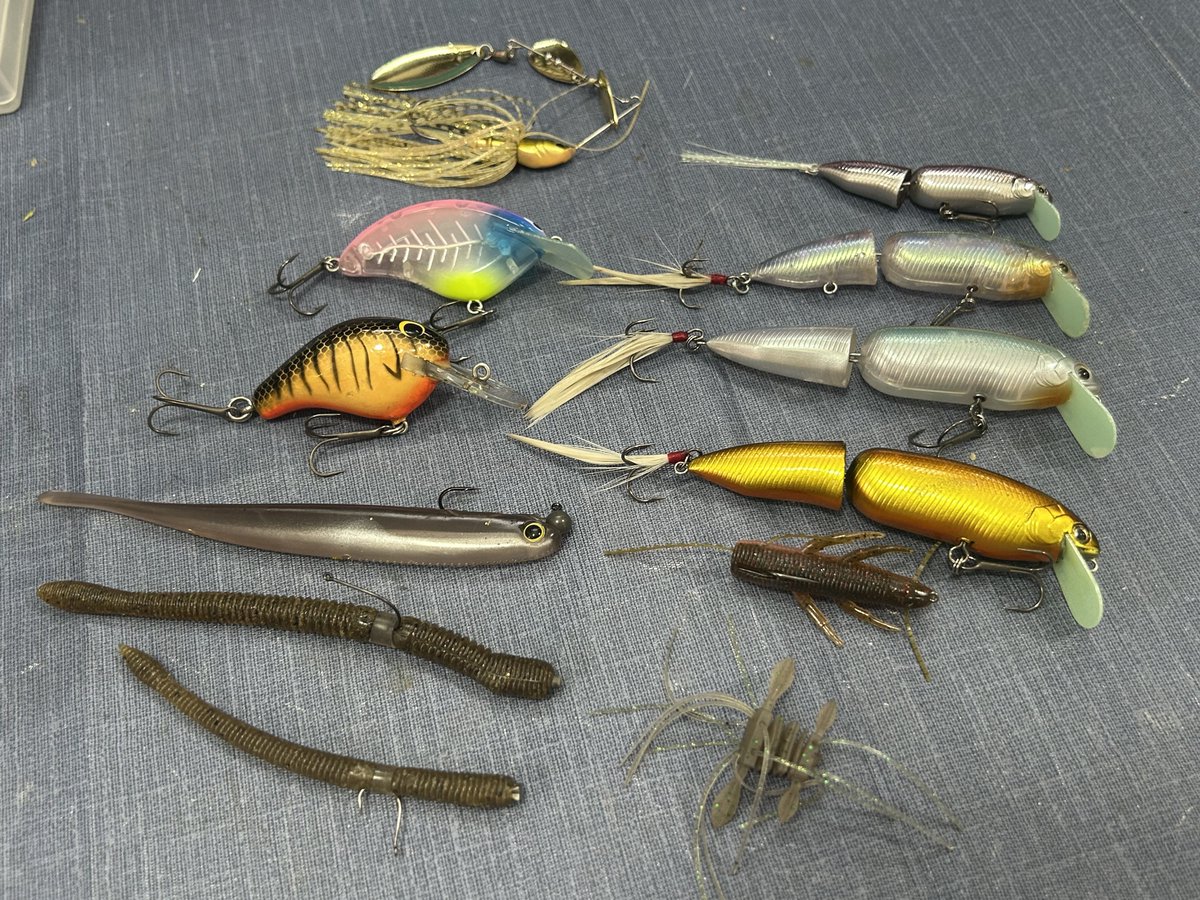 ウロノロ tweet media