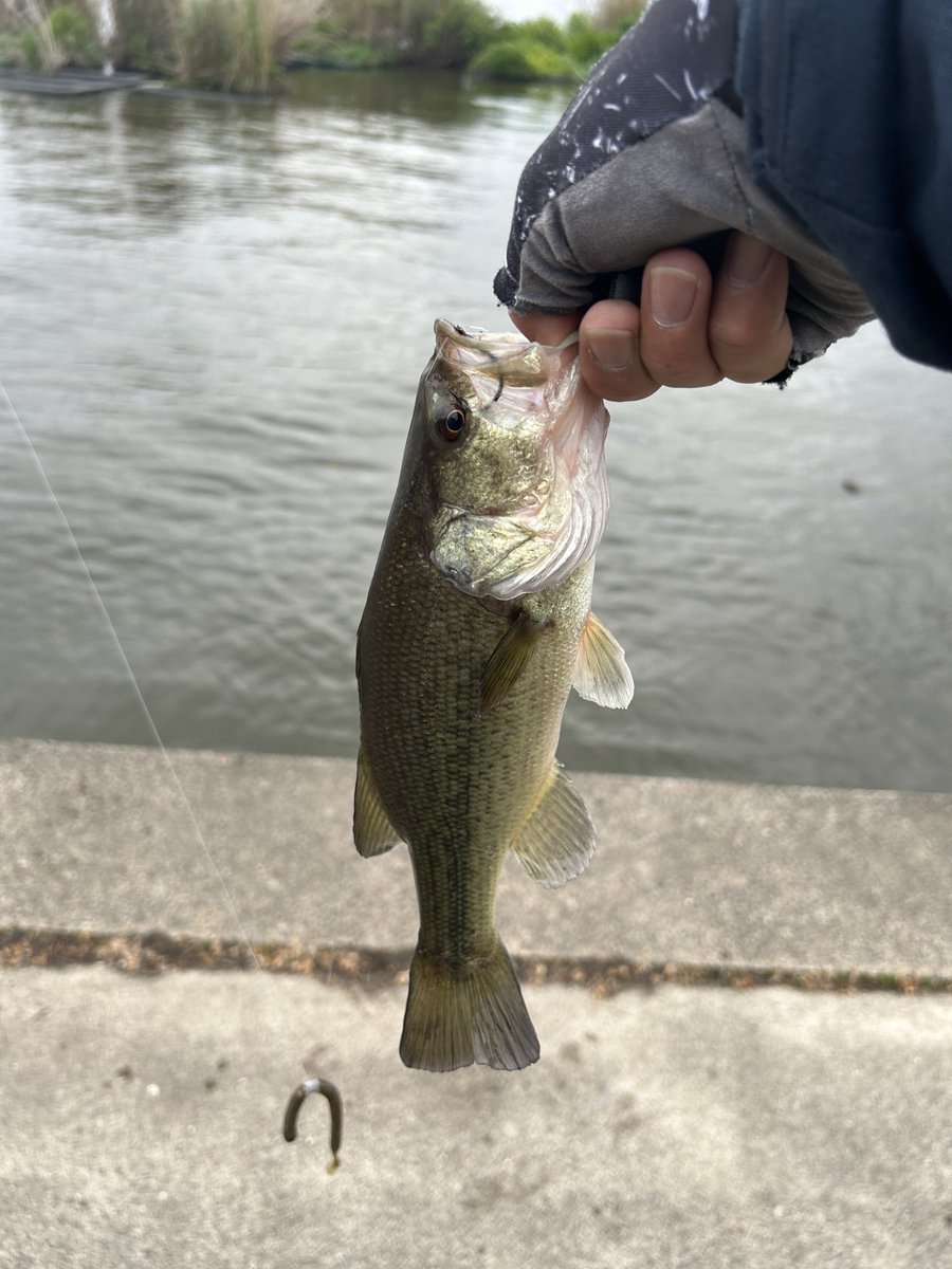 ウロノロ tweet media