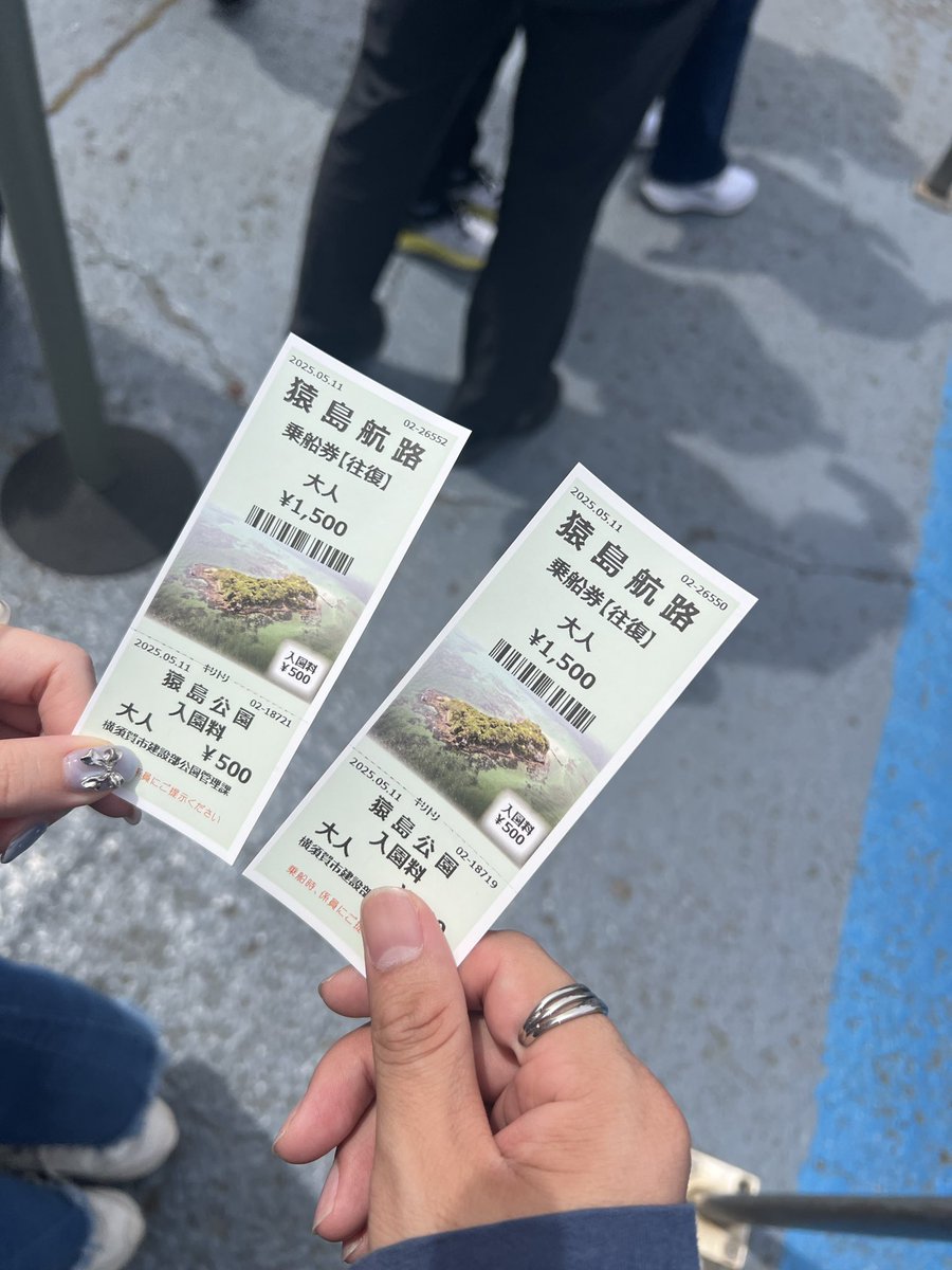 かも tweet media