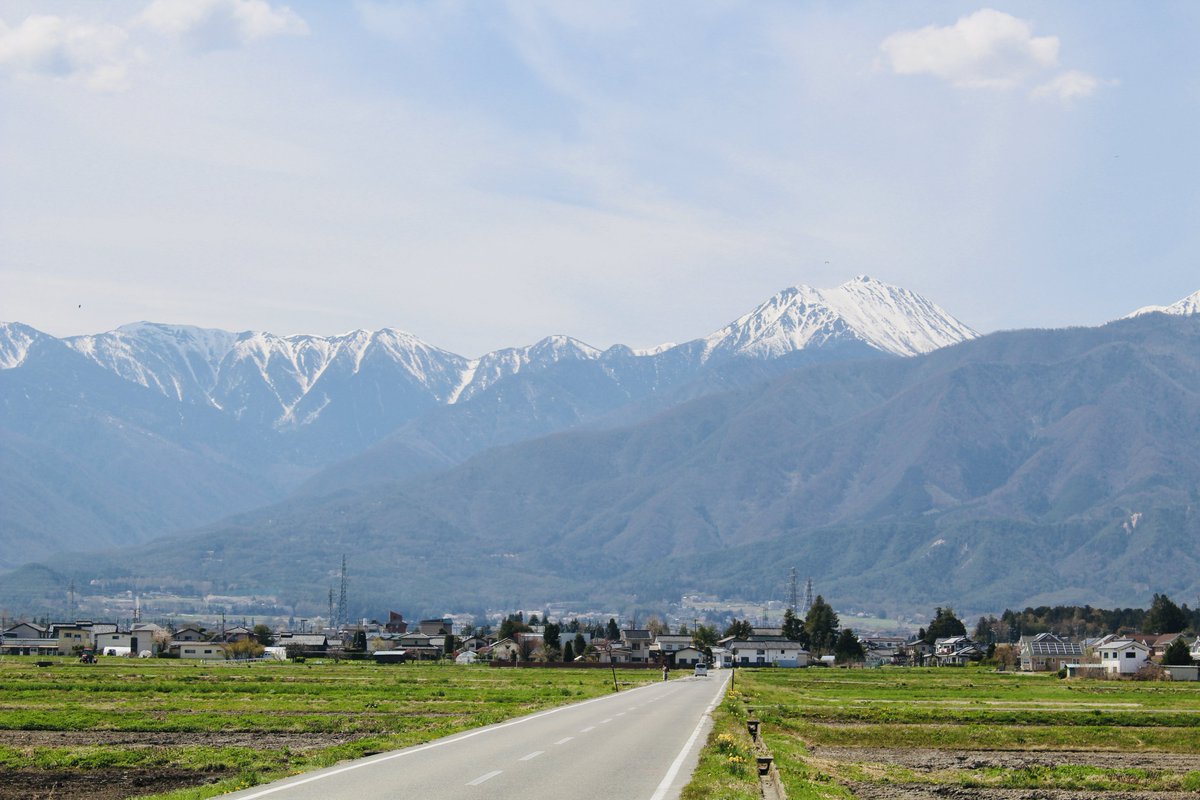 シャウラス tweet media