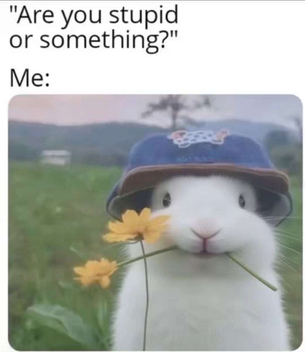 LEGOR 🦄 tweet media