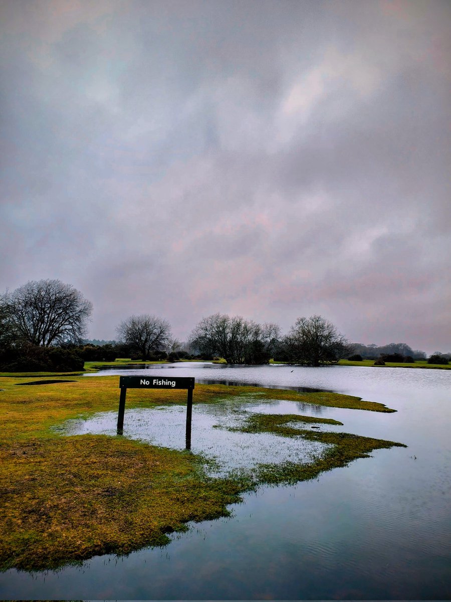 Lady Grace tweet media