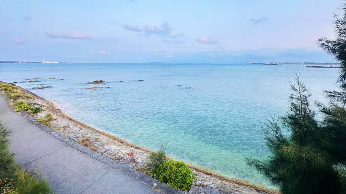 海藤あいか/ Aika Kaito /てぃん tweet media