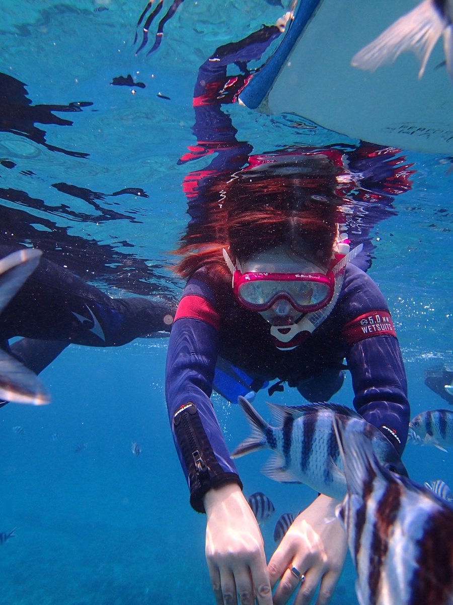 海藤あいか/ Aika Kaito /てぃん tweet media