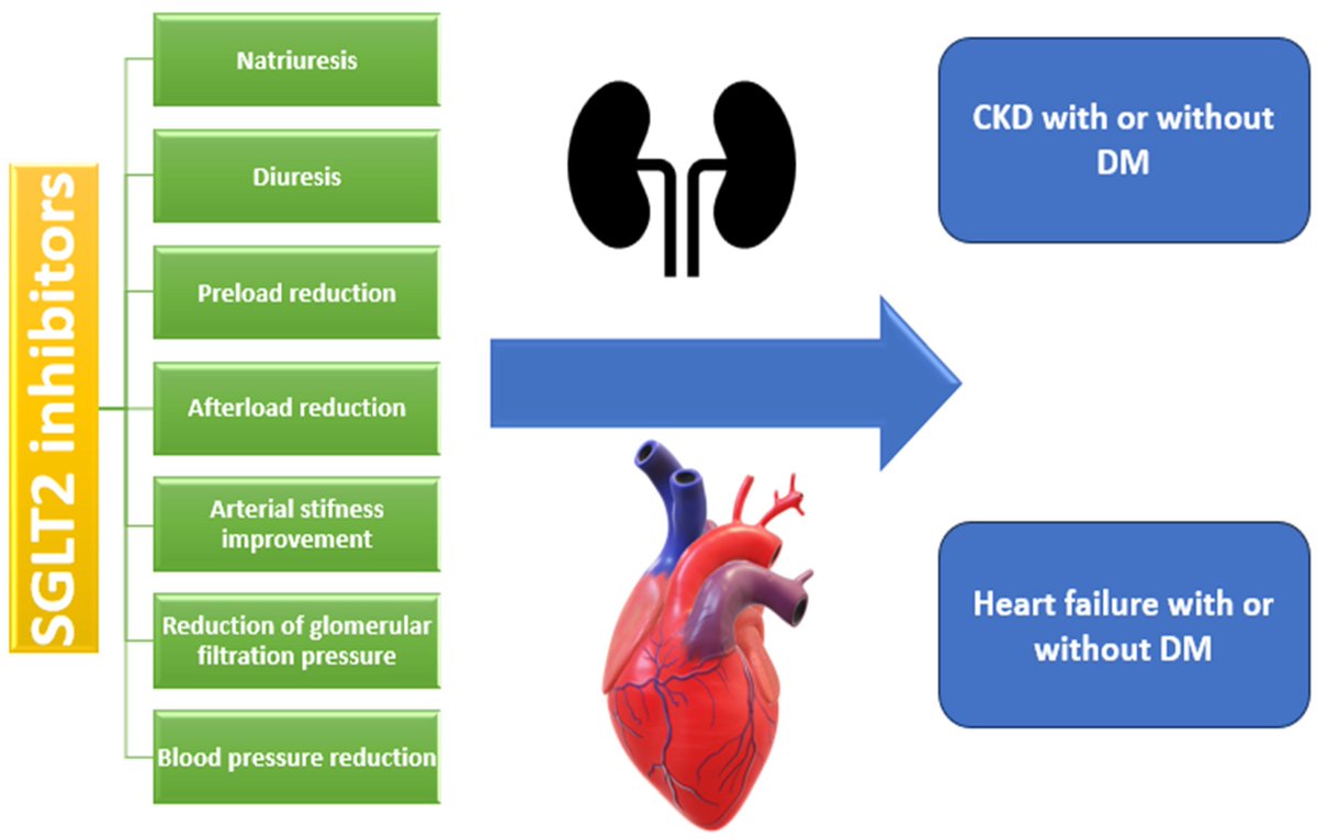HealthcareMDPI_'s tweet image. 🎉Don't miss this paper~
Hemodynamic Effects of SGLT2 Inhibitors in #Patients with and Without #Diabetes Mellitus—A Narrative Review
🖊️by Roxana Brata et al.
mdpi.com/3075828
#mdpihealthcare